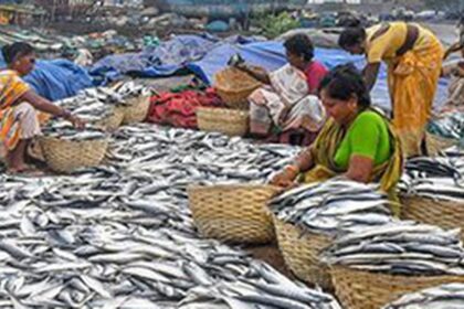 To counter trade ban, fishing sector sees new markets with eco-friendly labels