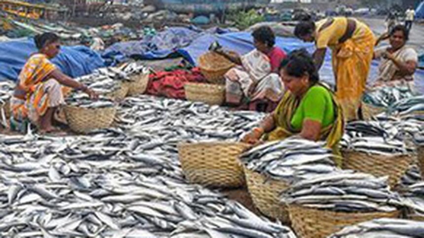 To counter trade ban, fishing sector sees new markets with eco-friendly labels
