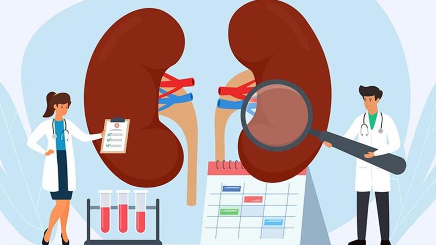 Unexplained kidney disease has emerged as a major health problem in Telangana, study finds