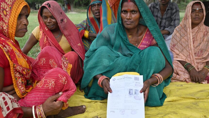 Microfinance loan arrears to soar in 2024-25, Bihar performing worst: Sardan Data