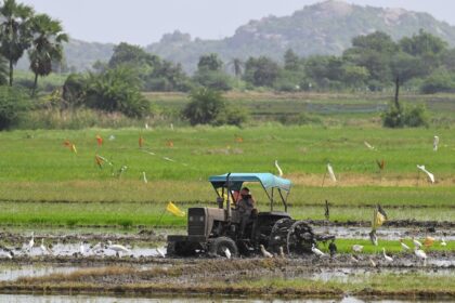 Eco-friendly advantages in tractor export