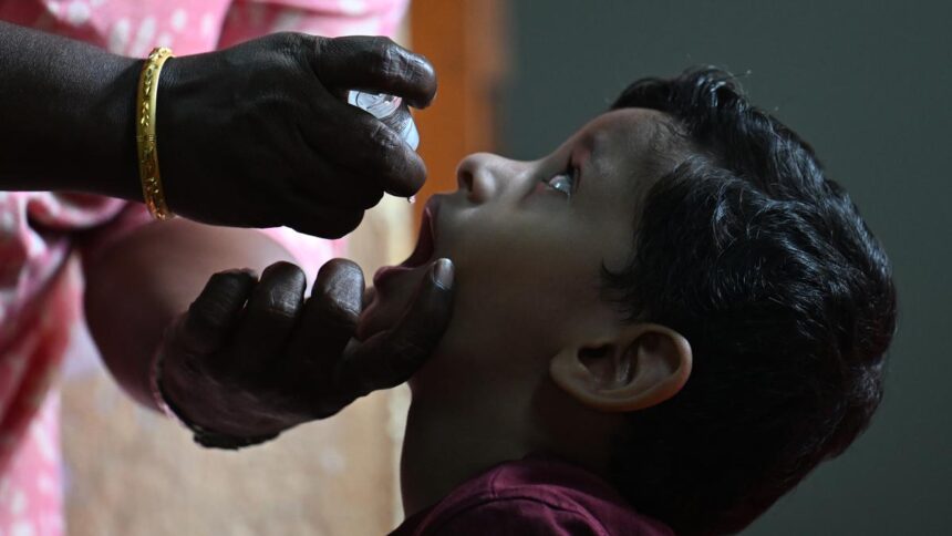 Experts highlight continued and urgent efforts to address last-mile challenges in global polio eradication