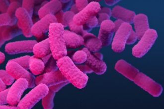 Researchers in Kerala identify rare case of typhus fever in man who returned to Dubai from Thiruvananthapuram