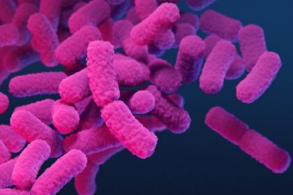 Researchers in Kerala identify rare case of typhus fever in man who returned to Dubai from Thiruvananthapuram