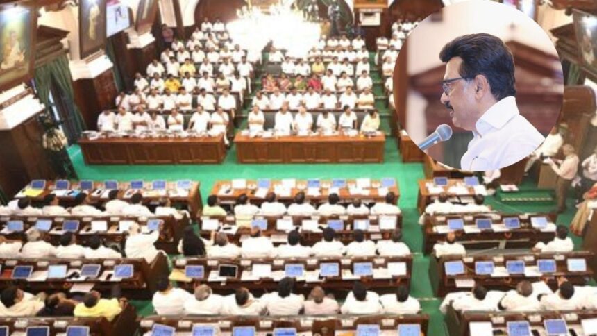 Karur flooded with slug fest in Tamil Nadu Assembly: Stalin blames Vijay, AIADMK blames Stalin government