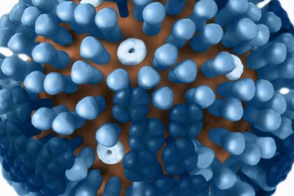 Cases to rethink India's flu vaccination strategy