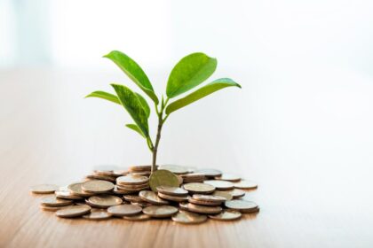 The appeal of small savings interest rates