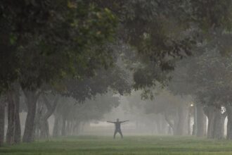 What does new research show about diabetes risk? | Explained