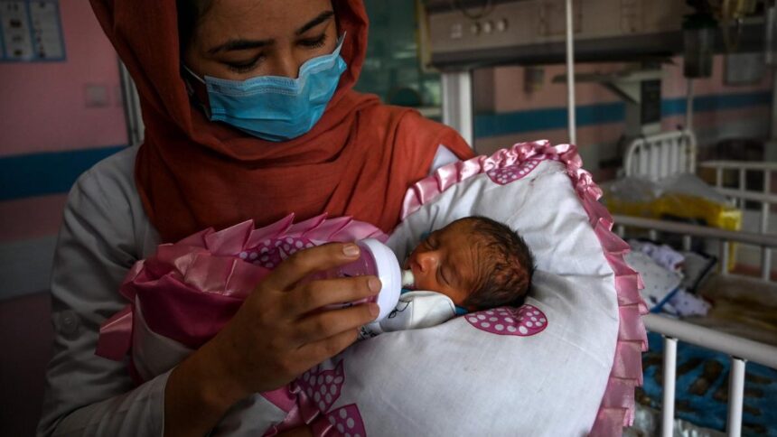 What should and should not be fed to babies? Experts bust the myths