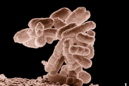 Science Quiz: About Antimicrobial Resistance