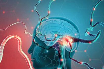 Touch-related sensations most strongly trigger the human nervous system: study