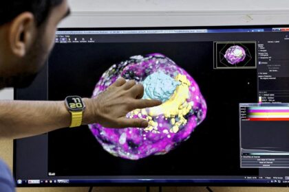 Indian scientists discover 'gene switch' that leads to pregnancy in the womb