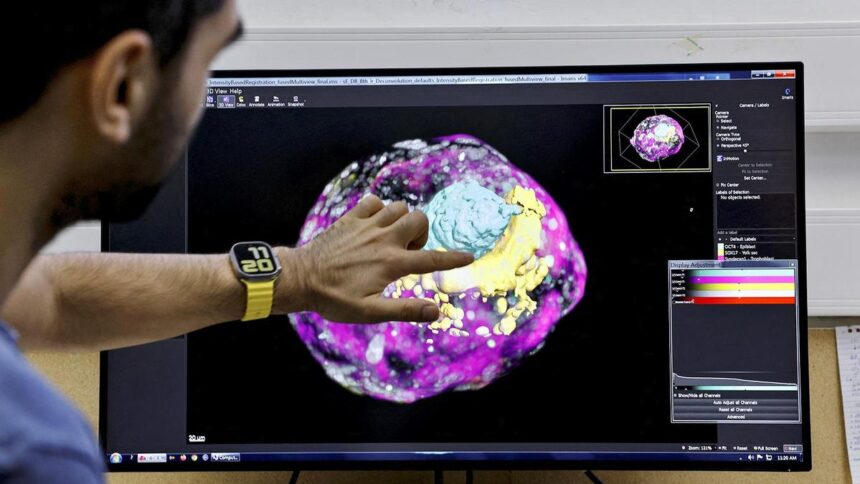 Indian scientists discover 'gene switch' that leads to pregnancy in the womb