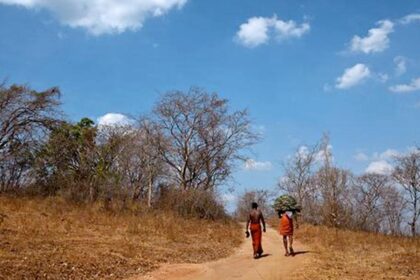 Mental health in a warming world: why this is an urgent crisis