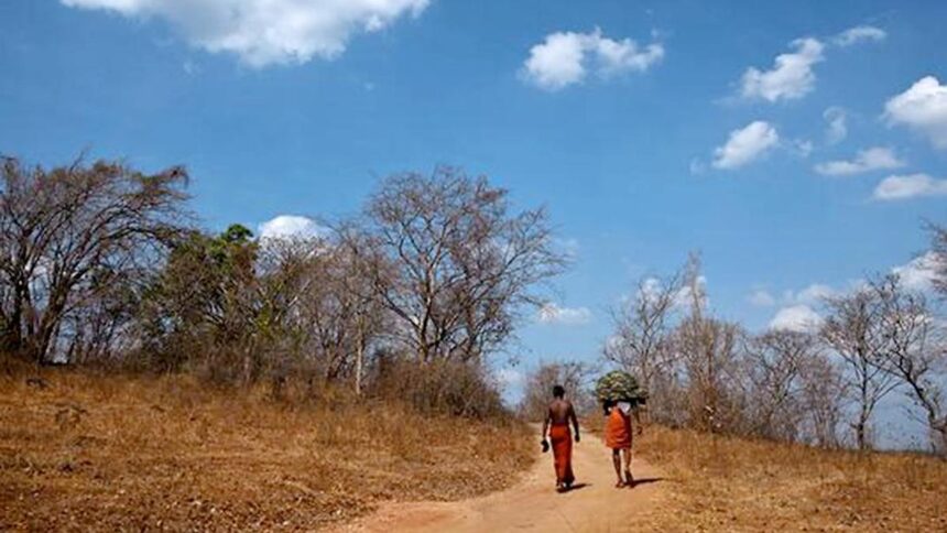 Mental health in a warming world: why this is an urgent crisis