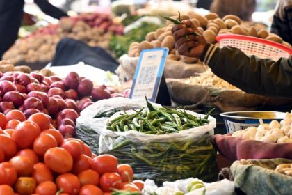 WPI inflation falls to (-)1.21% in October due to GST cuts, good base