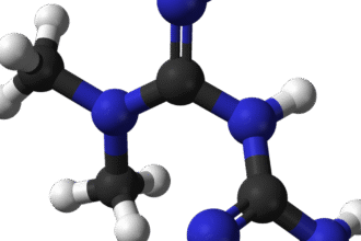 Everything you need to know about metformin