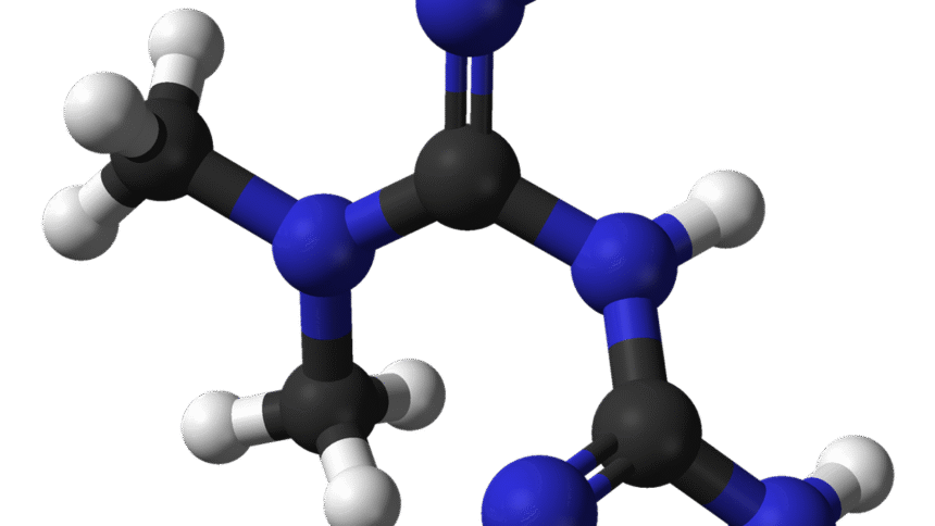 Everything you need to know about metformin