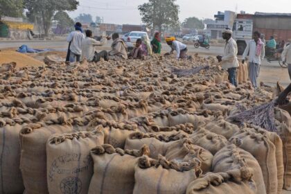 It's time to resolve India's grain confusion