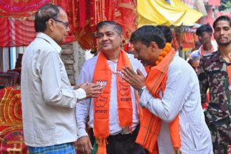 Patna Sahib, BJP, Congress, Patna Sahib Assembly, bihar elections, Bihar Assembly elections, Bihar Assembly poll, Shashant Shekhar, Patna Sahib Lok Sabha seat, Indian express news, current affairs