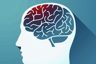 Observing the inside of the brain with angiography