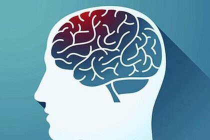 Observing the inside of the brain with angiography