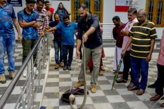 Snakebite sparks change in Kerala