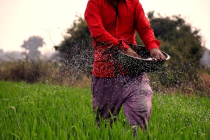 Center suspends licenses of over 4,000 fertilizer distributors for hoarding charges