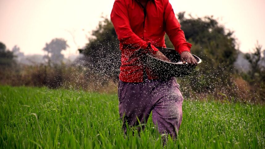 Center suspends licenses of over 4,000 fertilizer distributors for hoarding charges
