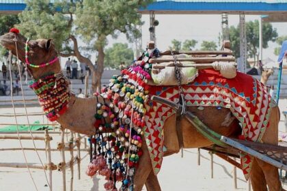 pushkar mela
