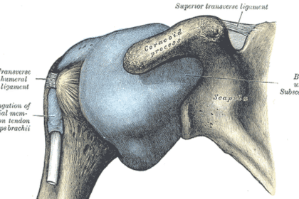 Experts say employees who work at a desk are more likely to develop frozen shoulders.