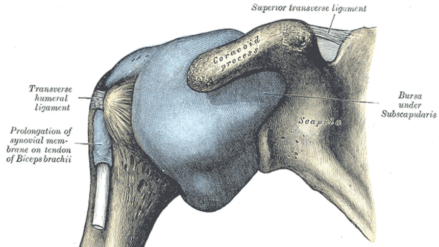 Experts say employees who work at a desk are more likely to develop frozen shoulders.