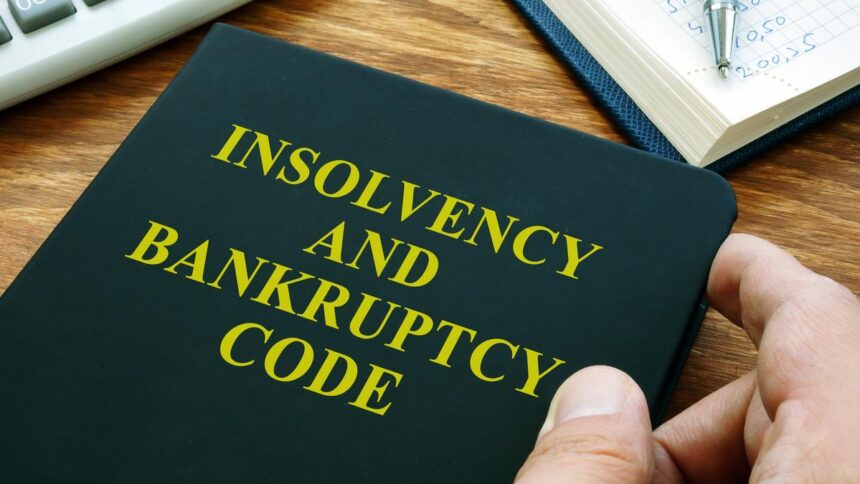 'Persistent and systemic challenges' undermine IBC's full potential: parliamentary committee