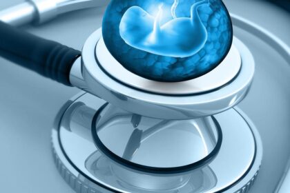 Inside a scientific experiment that turns skin cells into eggs that form embryos