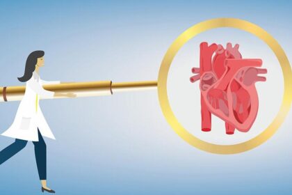 Women with diabetes are more likely to suffer from cardiovascular disease than men: experts