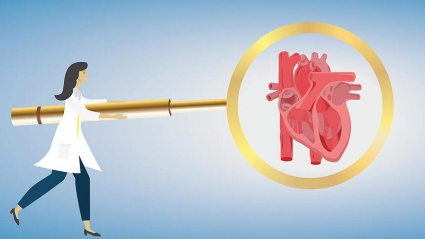 Women with diabetes are more likely to suffer from cardiovascular disease than men: experts