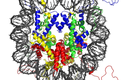 Just five DNA letters transform chromatin from a liquid to a solid-like state