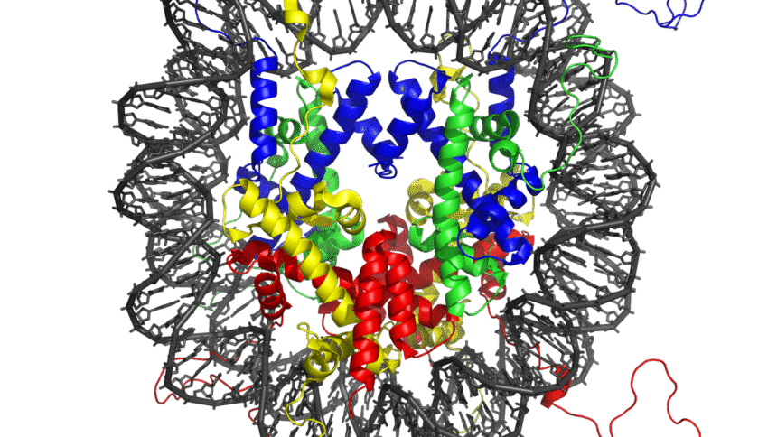 Just five DNA letters transform chromatin from a liquid to a solid-like state