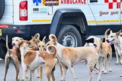 Rabies: a cruel and costly disease of India's poorest people