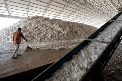 The woes of farmers in Gujarat: A place where cotton clouds hang heavy