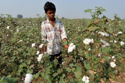Textile industry demands removal of import duties on cotton