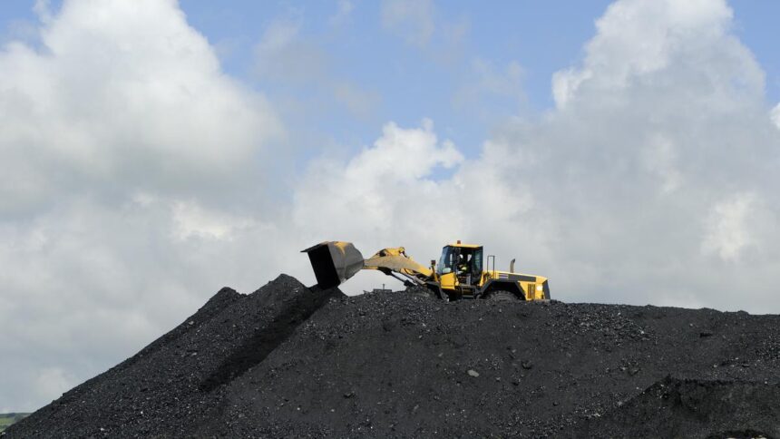 Congressional committee recommends reducing forest and environmental clearance times for coal projects