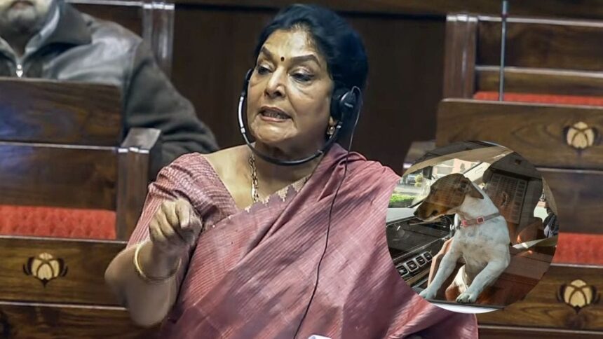 Parliament upset over Renuka dog, MP says 'I don't care' over threat of privilege motion
