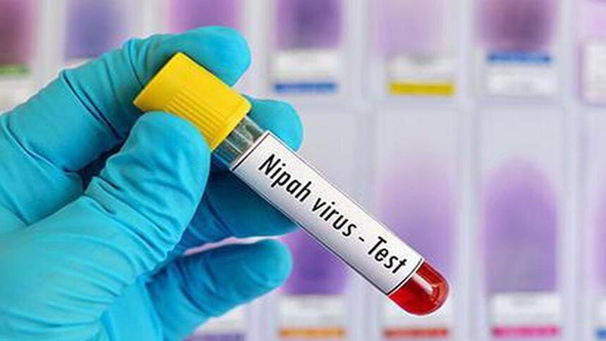Nipah virus detected in West Bengal: Know about the virus and its symptoms