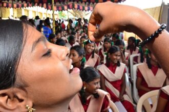 Importance of iron in nutrition