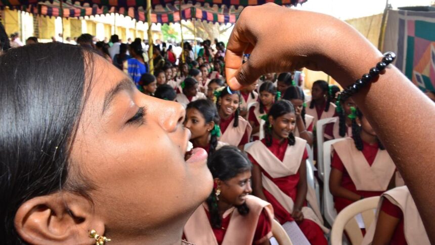 Importance of iron in nutrition