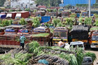 Wholesale price inflation rose slightly to 0.83% in December