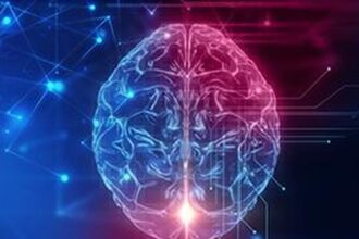 Scientists discover hidden synaptic hotspots in teen brains: study