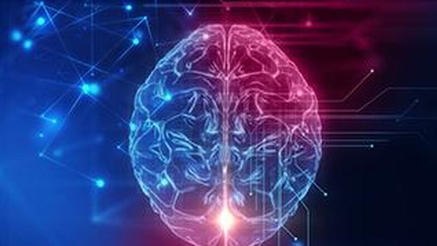 Scientists discover hidden synaptic hotspots in teen brains: study