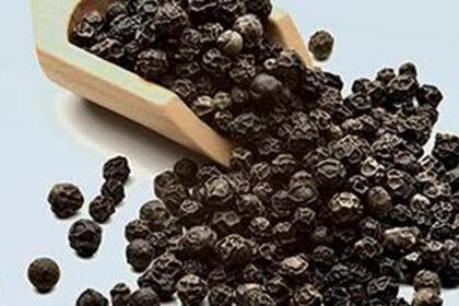 Health quiz: About winter infectious diseases